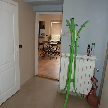 Sneki * בלגרד